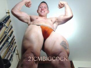 21CMBIGCOCK