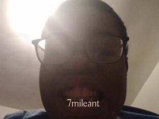 7mileant