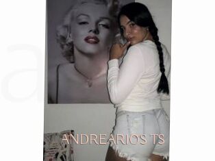 ANDREARIOS_TS