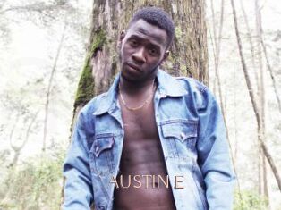 AUSTIN_E