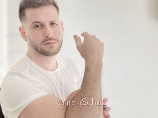 AaronSchulz