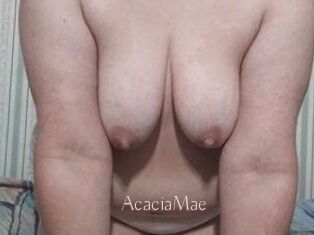 AcaciaMae