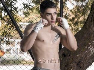 AdamBull