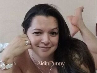 AidinPunny