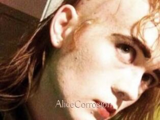 AliceCorrosion