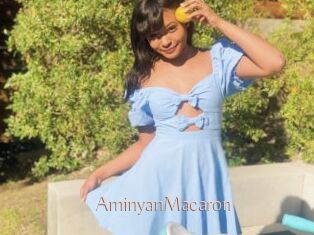 AminyanMacaron