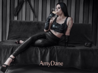 AmyDane Anal Sexe