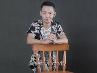 AndyBrandly