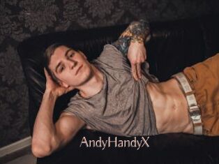 AndyHandyX