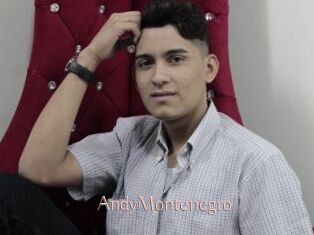 AndyMontenegro