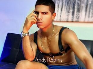 AndyRobins
