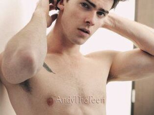 AndyTheTeen