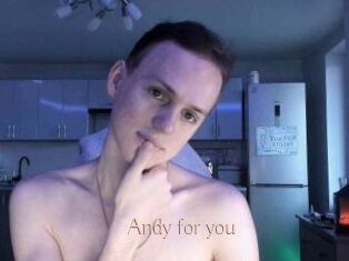 Andy_for_you