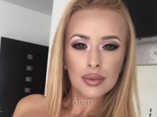 Aneri