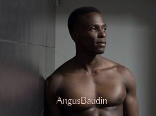 AngusBaudin Anal Sexe
