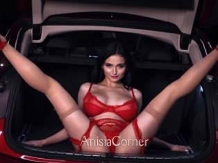 AnisiaCorner