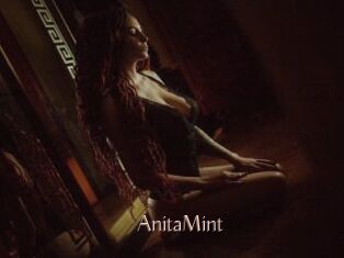 AnitaMint