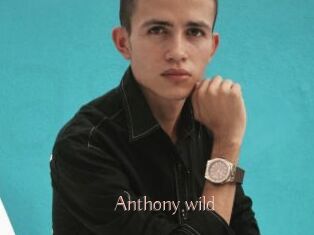 Anthony_wild