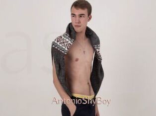 AntonioShyBoy