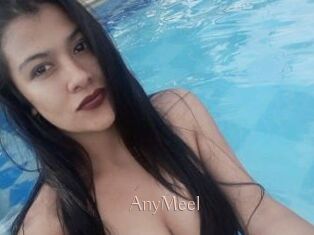 AnyMeel