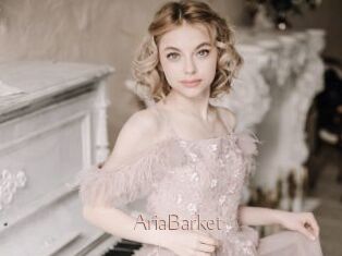 AriaBarket
