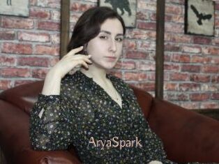 AryaSpark