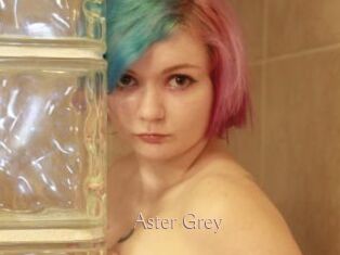 Aster_Grey