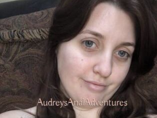 AudreysAnalAdventures