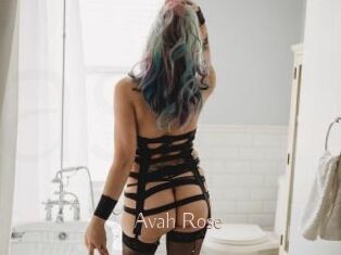 Avah_Rose