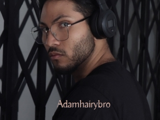 adamhairybro Anal Sexe