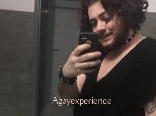 Agayexperience
