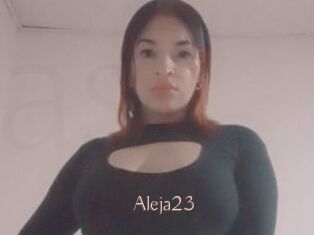 Aleja23