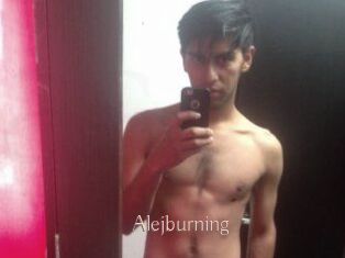 Alejburning
