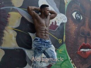 Alexbigmuscle