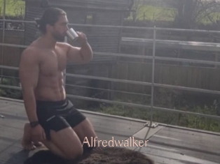 Alfredwalker