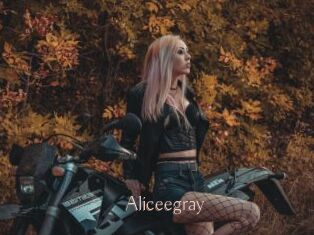 Aliceegray