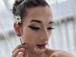 Amalix