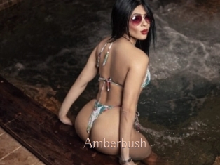 Amberbush
