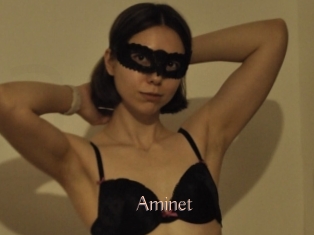 Aminet