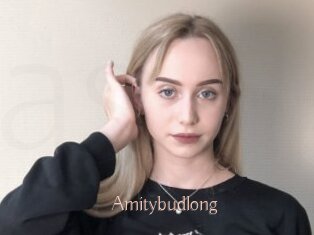 Amitybudlong