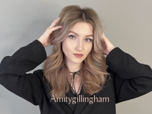 Amitygillingham