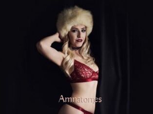 Amnatorres