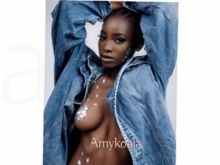 Amykoala