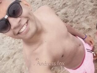 Andress_fox
