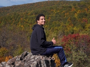 Anis66