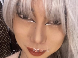 Anntook