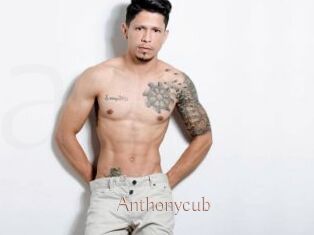 Anthonycub