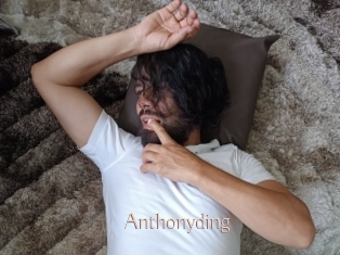 anthonyding Anal Sexe