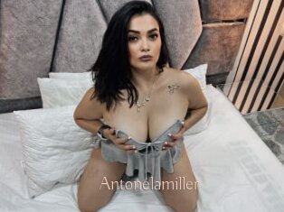 Antonelamiller