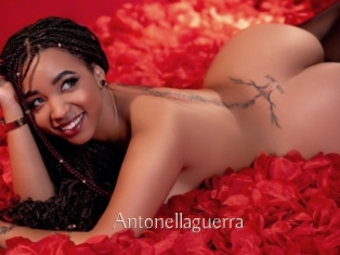 Antonellaguerra
